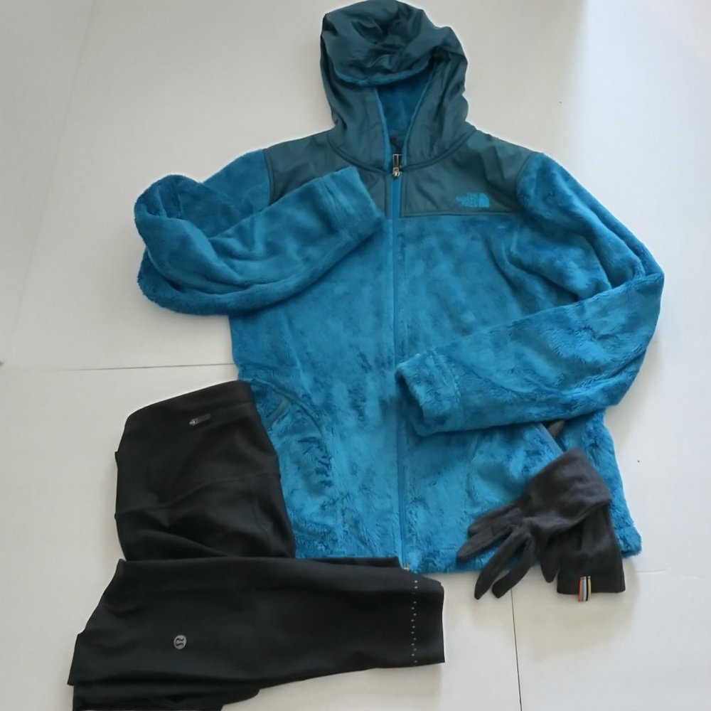 SOLD North Face Osito Hoodie